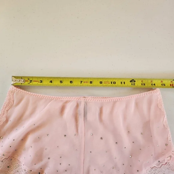 Victoria's Secret Pink Sheer See Through Panty Panties Bloomers New NWT Lace - Picture 6 of 7